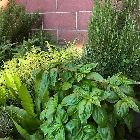 فندق مبيت وإفطار Cascina 'la Giardina' 3*