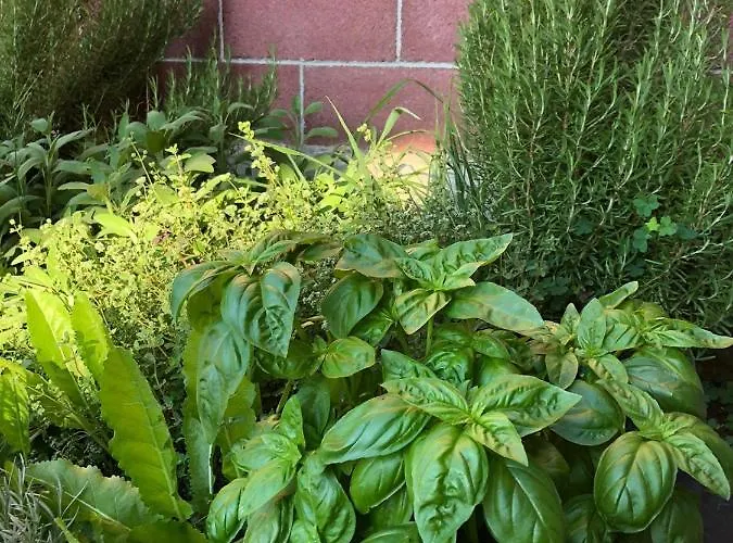 Oda ve Kahvaltı Cascina 'la Giardina' 3*